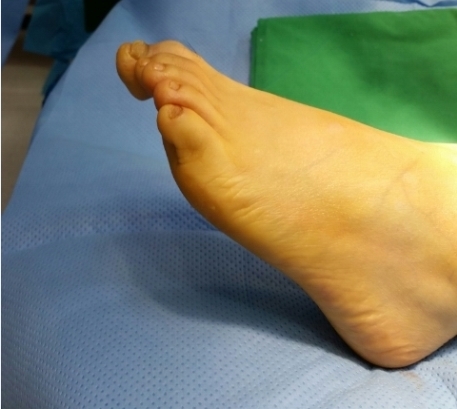 545c4d6d92d2b.jpg